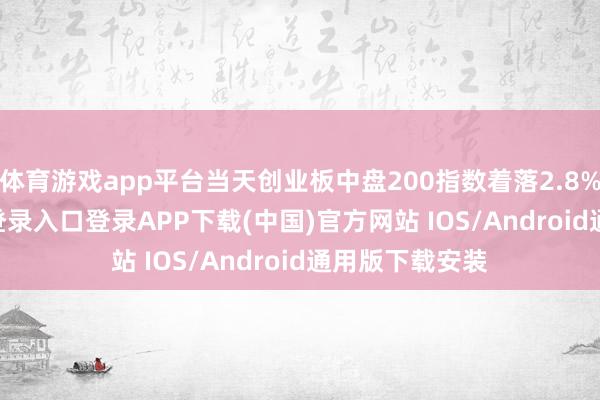 体育游戏app平台当天创业板中盘200指数着落2.8%-开云kaiyun登录入口登录APP下载(中国)官方网站 IOS/Android通用版下载安装