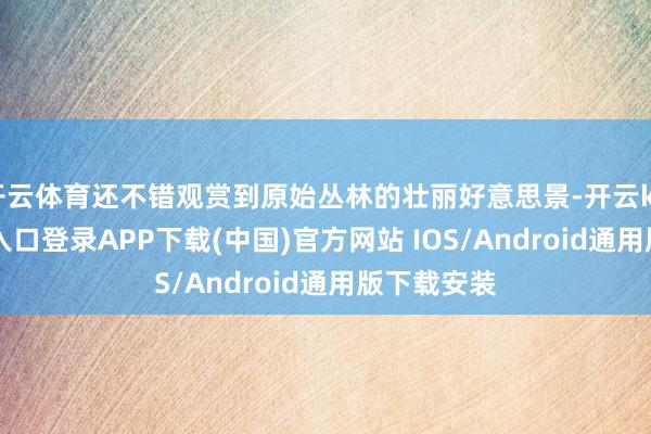 开云体育还不错观赏到原始丛林的壮丽好意思景-开云kaiyun登录入口登录APP下载(中国)官方网站 IOS/Android通用版下载安装