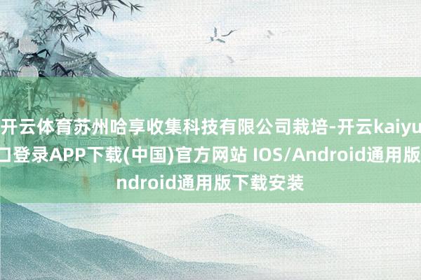 开云体育苏州哈享收集科技有限公司栽培-开云kaiyun登录入口登录APP下载(中国)官方网站 IOS/Android通用版下载安装
