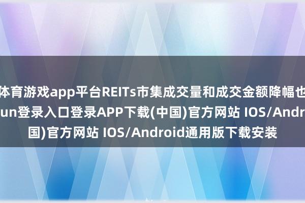 体育游戏app平台REITs市集成交量和成交金额降幅也逾越10%-开云kaiyun登录入口登录APP下载(中国)官方网站 IOS/Android通用版下载安装