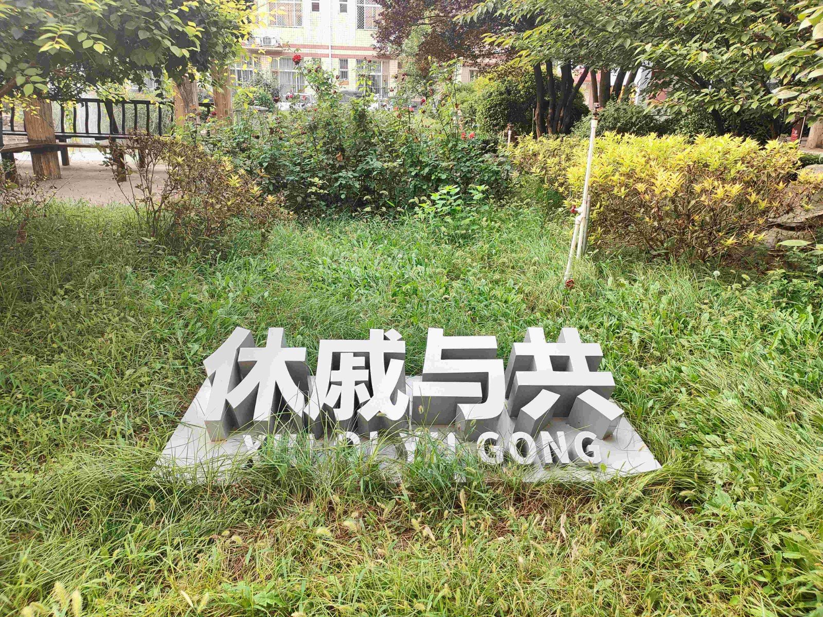 众赢计划国际版app